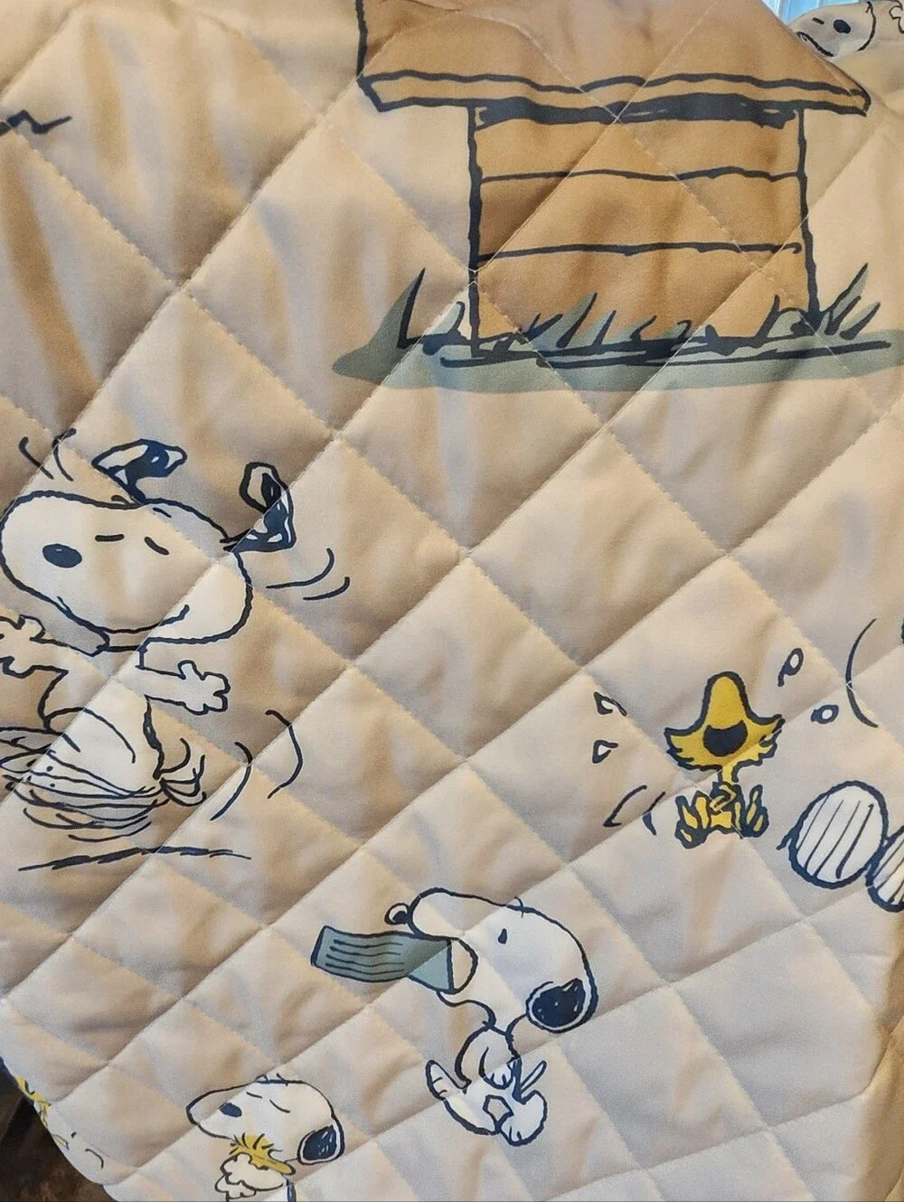 Peanuts Snoopy And Woodstock Twin Reversible Quilt - Blue and Cream
